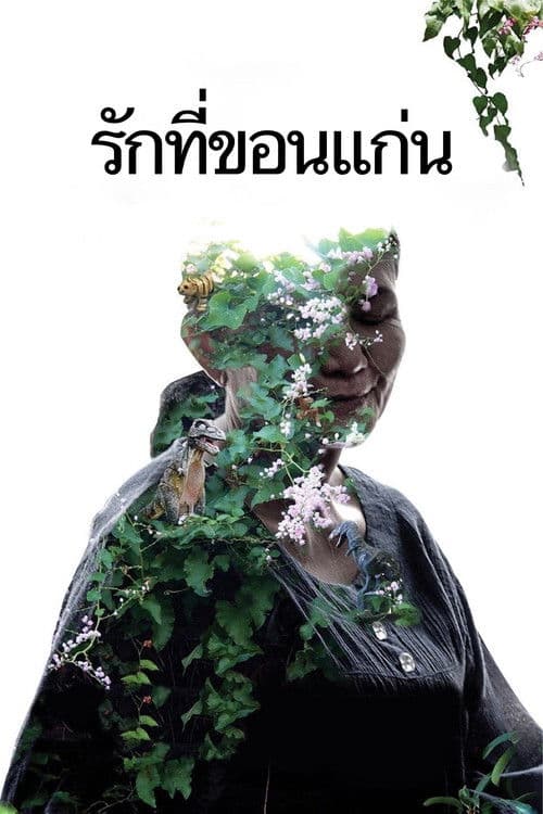 Cemetery Of Splendour